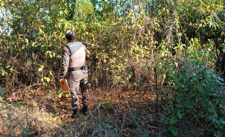Trabalho conjunto entre Governo de MS e Ministério Público apura causas de incêndios no Pantanal