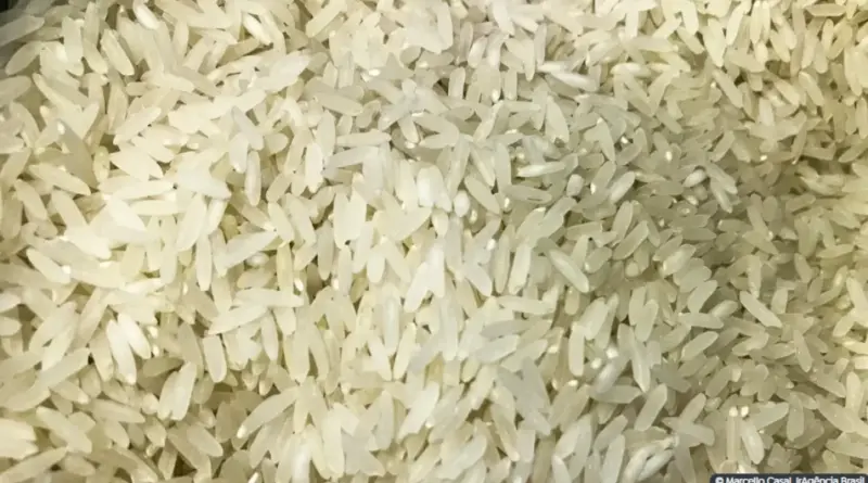 Justiça Federal no RS suspende leilão de arroz importado pelo governo federal