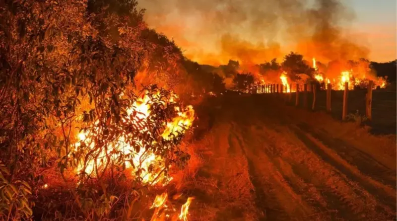 Após “invertida” do Governador, jornalista se posiciona sobre incêndios no Pantanal em entrevista exclusiva