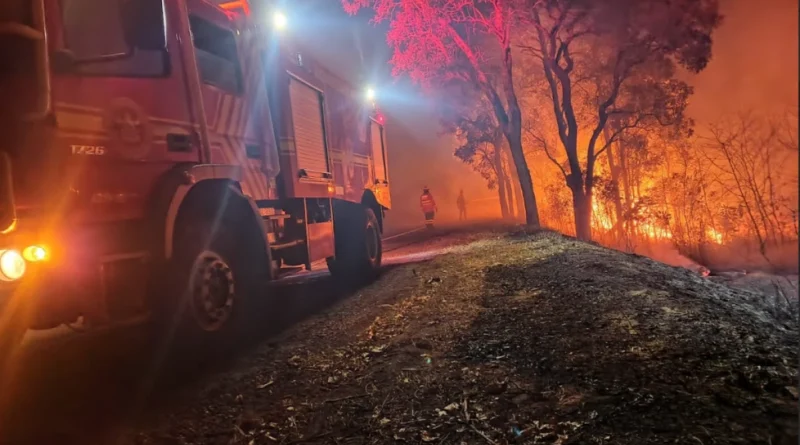 Pantanal registra quase o dobro de incêndios em 10 dias de setembro de 2024 em comparação ao mesmo período de 2023