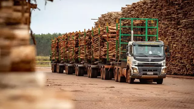 Governo fará túnel para hexatrens atravessarem rodovia