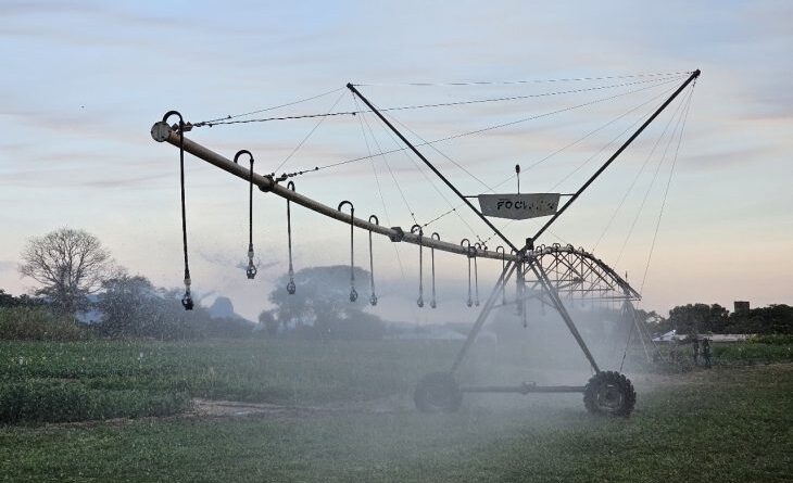 Primeiro polo de agricultura irrigada de MS abrange 26 municípios nas regiões Centro e Sul