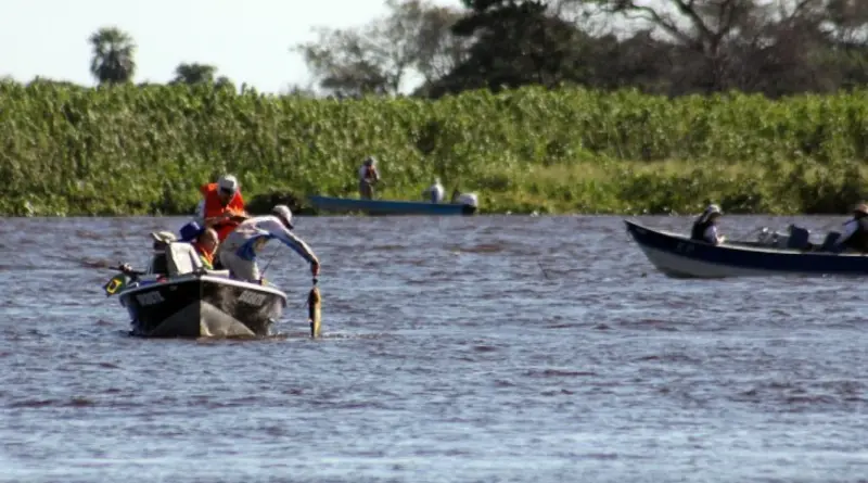 Última semana: pesca fica proibida a partir do dia 5 de novembro com o início do período de defeso