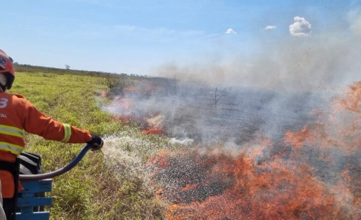 Com trabalho preventivo, bases avançadas no Pantanal atuam de forma eficaz e evitam focos de incêndios