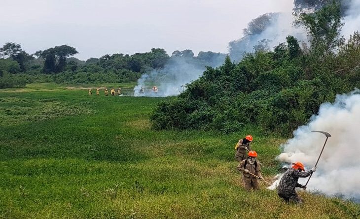 Chuvas no Pantanal de MS ajudam no controle de focos, mas Bombeiros mantém ações